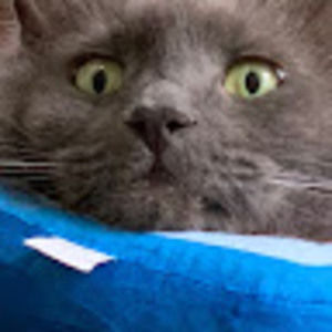 Meet your Posher, Jade